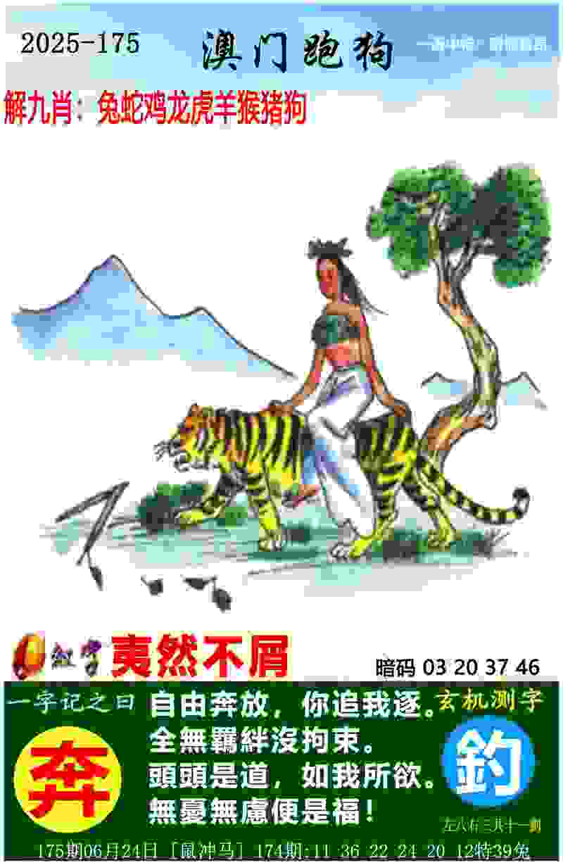 中国代表团总结巴黎奥运参赛整体情况：创境外参赛历史最好成绩，“突破”成为最明显特点